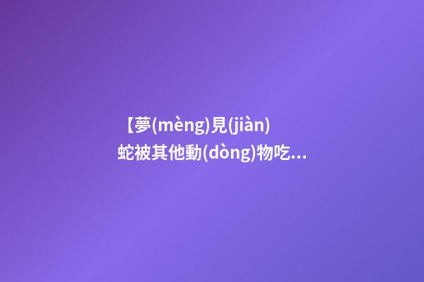 【夢(mèng)見(jiàn)蛇被其他動(dòng)物吃了】