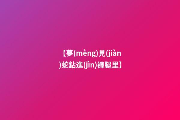 【夢(mèng)見(jiàn)蛇鉆進(jìn)褲腿里】