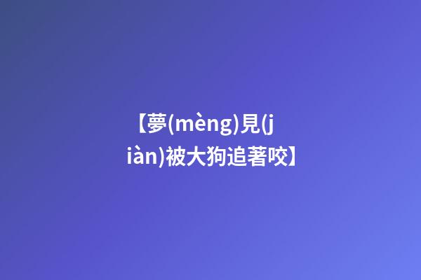 【夢(mèng)見(jiàn)被大狗追著咬】