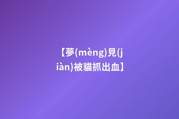【夢(mèng)見(jiàn)被貓抓出血】
