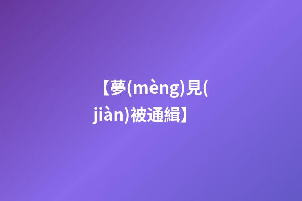 【夢(mèng)見(jiàn)被通緝】