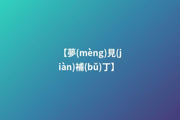 【夢(mèng)見(jiàn)補(bǔ)丁】