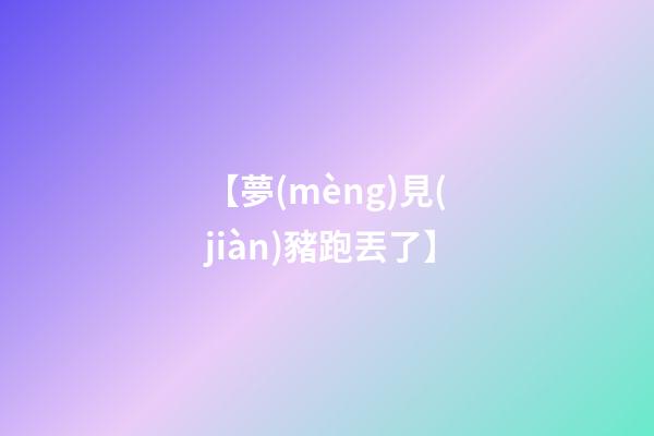 【夢(mèng)見(jiàn)豬跑丟了】
