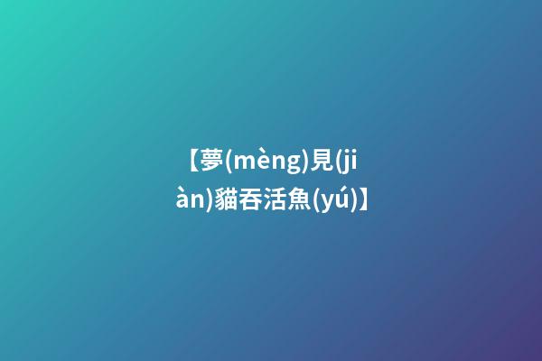 【夢(mèng)見(jiàn)貓吞活魚(yú)】