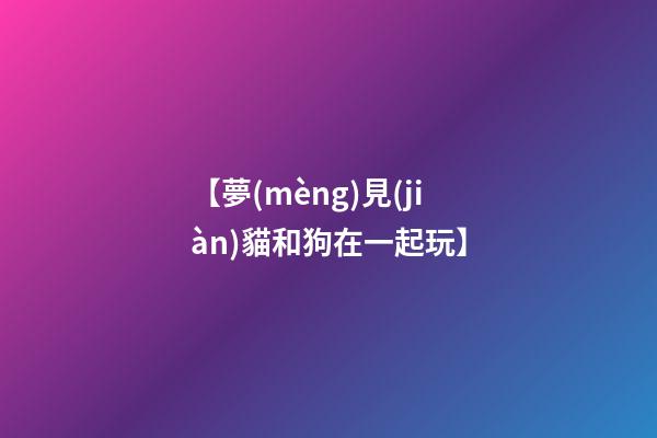 【夢(mèng)見(jiàn)貓和狗在一起玩】