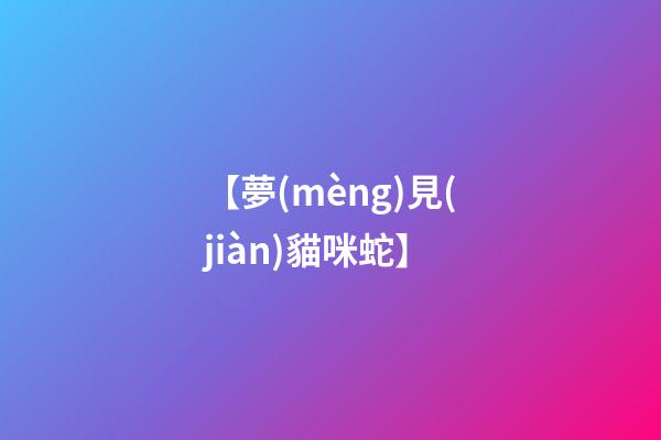 【夢(mèng)見(jiàn)貓咪蛇】
