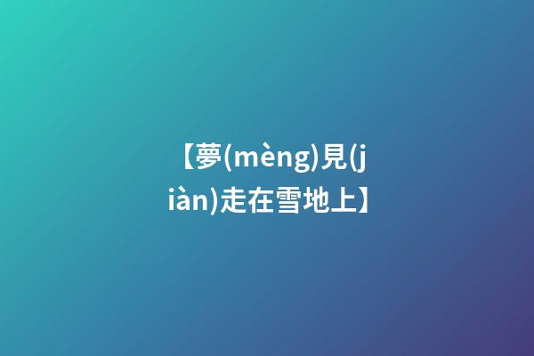 【夢(mèng)見(jiàn)走在雪地上】
