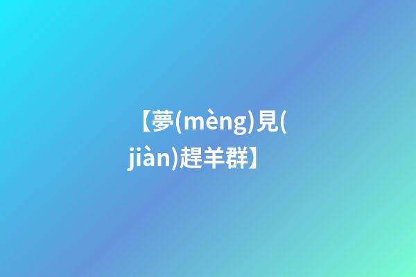 【夢(mèng)見(jiàn)趕羊群】