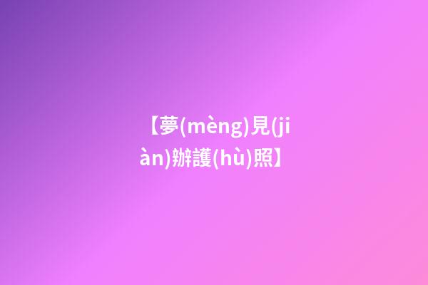 【夢(mèng)見(jiàn)辦護(hù)照】