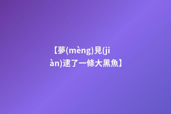【夢(mèng)見(jiàn)逮了一條大黑魚】
