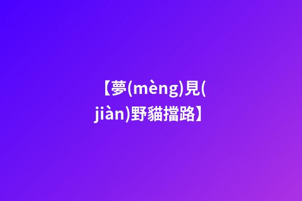 【夢(mèng)見(jiàn)野貓擋路】