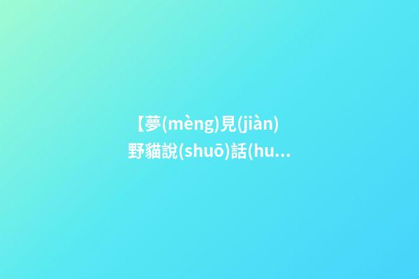 【夢(mèng)見(jiàn)野貓說(shuō)話(huà)】