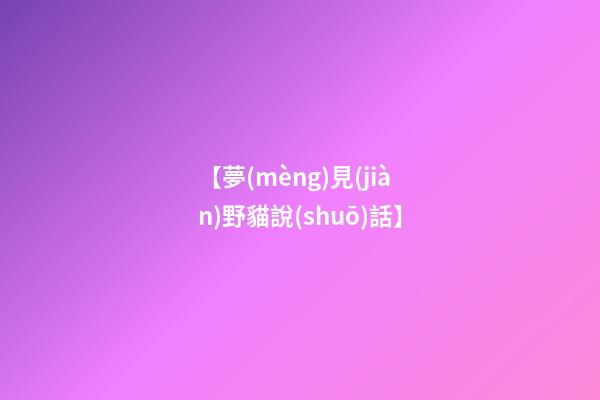 【夢(mèng)見(jiàn)野貓說(shuō)話】