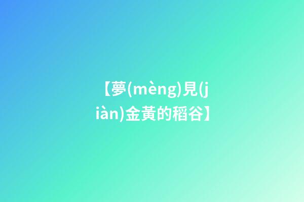【夢(mèng)見(jiàn)金黃的稻谷】