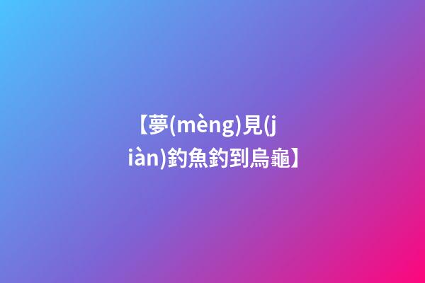 【夢(mèng)見(jiàn)釣魚釣到烏龜】