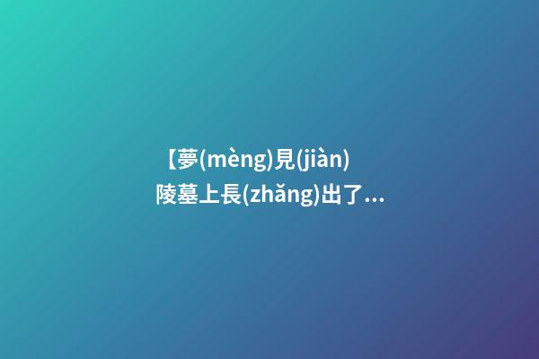 【夢(mèng)見(jiàn)陵墓上長(zhǎng)出了樹(shù)】