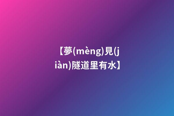 【夢(mèng)見(jiàn)隧道里有水】