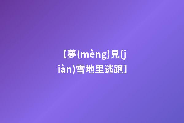 【夢(mèng)見(jiàn)雪地里逃跑】