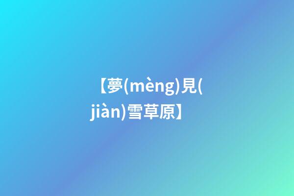 【夢(mèng)見(jiàn)雪草原】