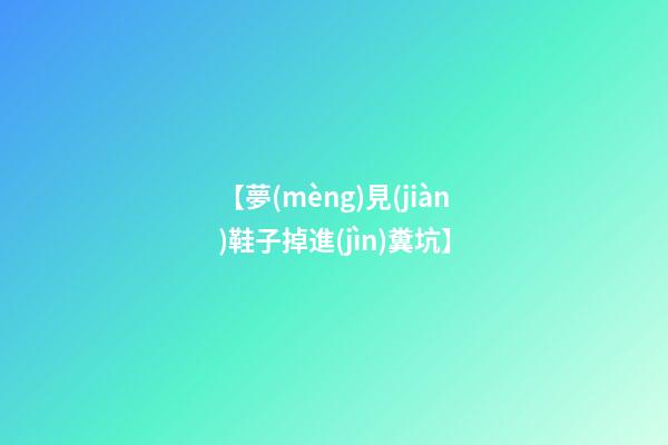 【夢(mèng)見(jiàn)鞋子掉進(jìn)糞坑】