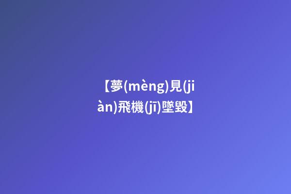 【夢(mèng)見(jiàn)飛機(jī)墜毀】