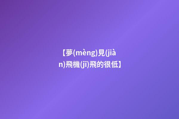 【夢(mèng)見(jiàn)飛機(jī)飛的很低】