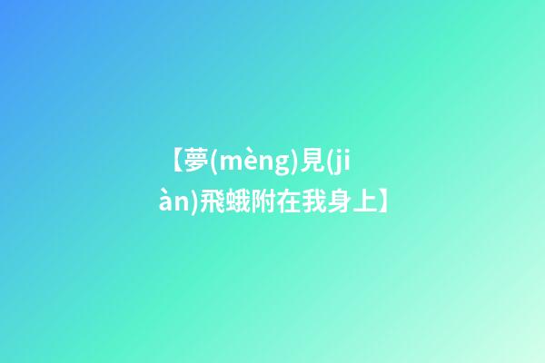 【夢(mèng)見(jiàn)飛蛾附在我身上】