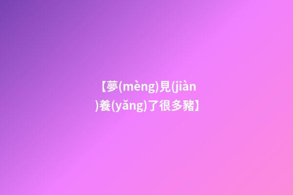 【夢(mèng)見(jiàn)養(yǎng)了很多豬】