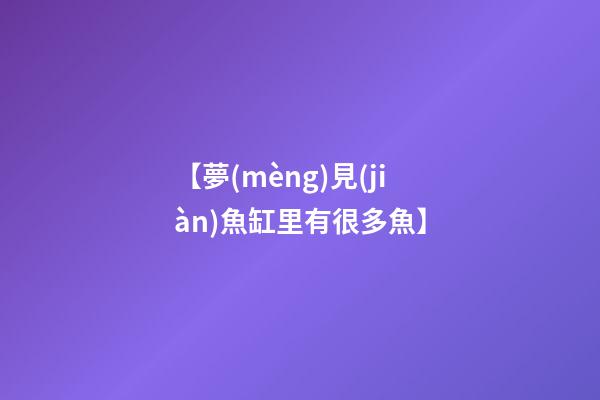 【夢(mèng)見(jiàn)魚缸里有很多魚】