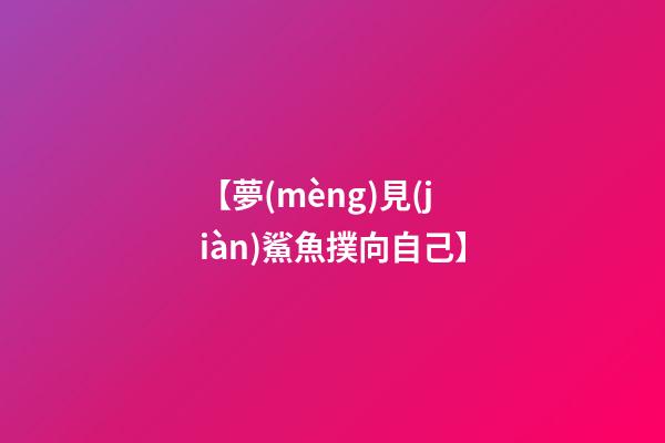 【夢(mèng)見(jiàn)鯊魚撲向自己】