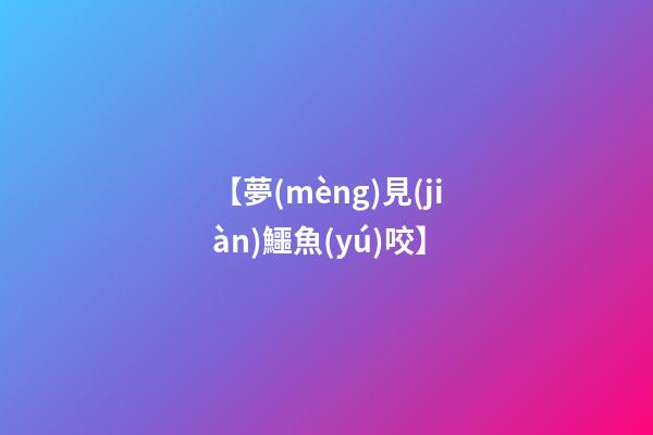 【夢(mèng)見(jiàn)鱷魚(yú)咬】