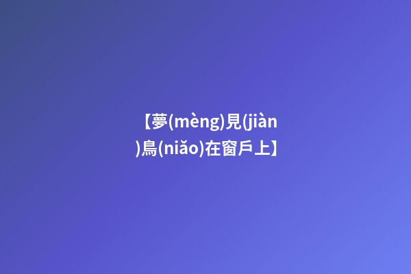 【夢(mèng)見(jiàn)鳥(niǎo)在窗戶上】