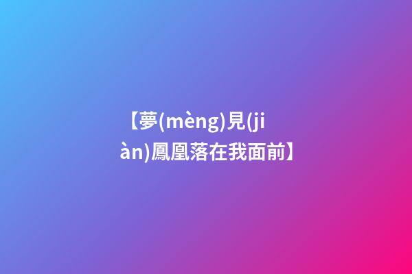 【夢(mèng)見(jiàn)鳳凰落在我面前】