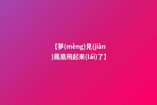 【夢(mèng)見(jiàn)鳳凰飛起來(lái)了】