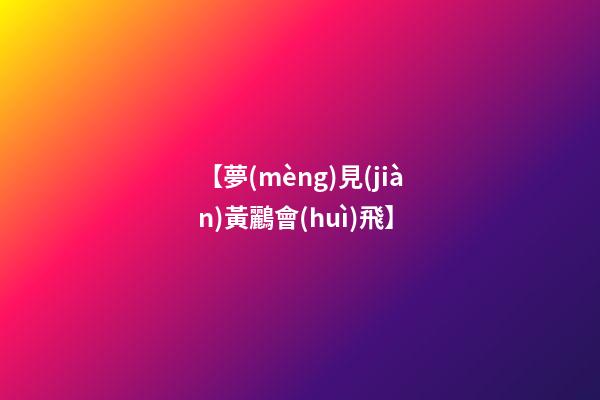 【夢(mèng)見(jiàn)黃鸝會(huì)飛】