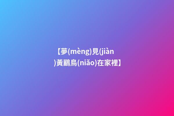 【夢(mèng)見(jiàn)黃鸝鳥(niǎo)在家裡】