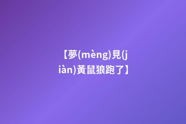 【夢(mèng)見(jiàn)黃鼠狼跑了】