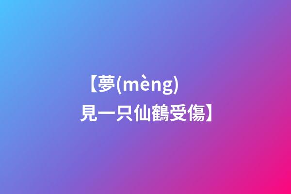【夢(mèng)見一只仙鶴受傷】