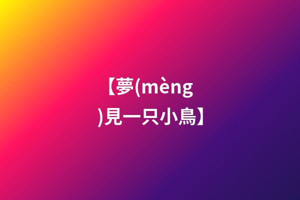 【夢(mèng)見一只小鳥】