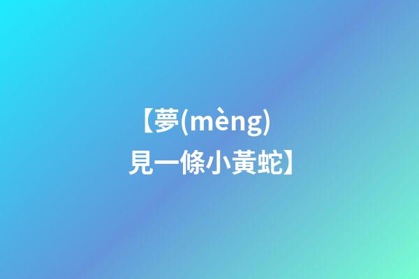 【夢(mèng)見一條小黃蛇】