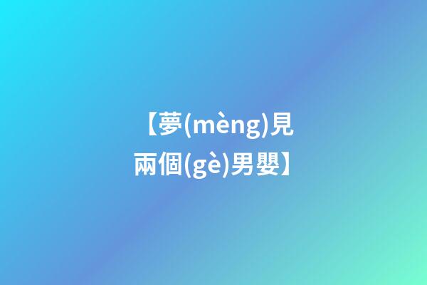 【夢(mèng)見兩個(gè)男嬰】