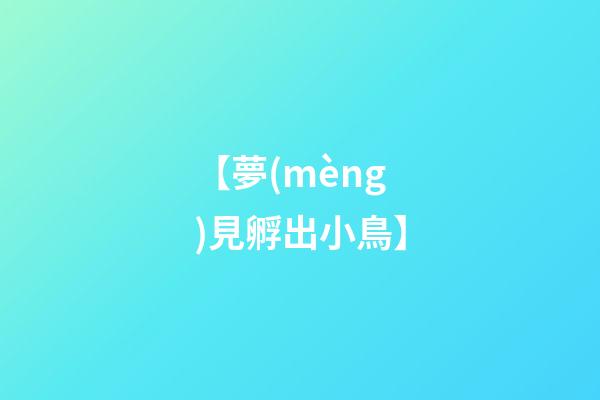 【夢(mèng)見孵出小鳥】