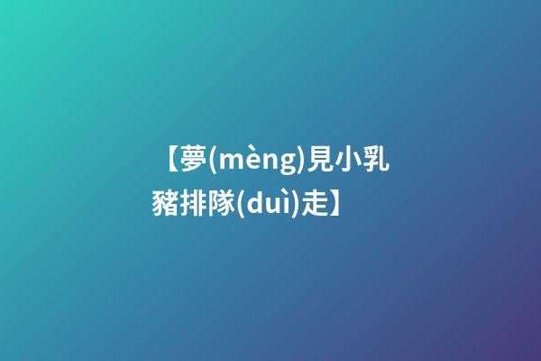 【夢(mèng)見小乳豬排隊(duì)走】