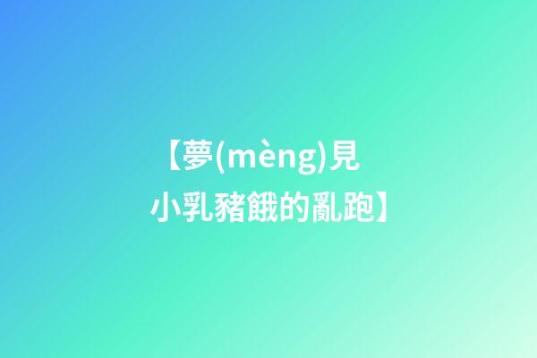 【夢(mèng)見小乳豬餓的亂跑】