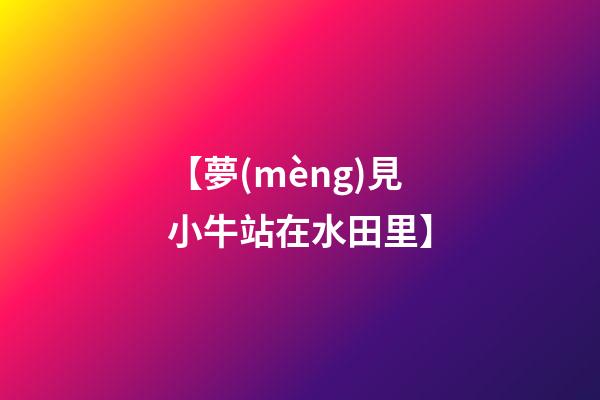 【夢(mèng)見小牛站在水田里】