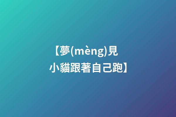 【夢(mèng)見小貓跟著自己跑】
