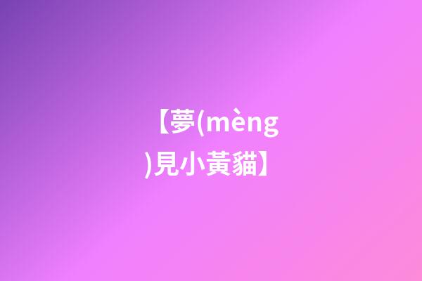 【夢(mèng)見小黃貓】