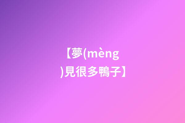 【夢(mèng)見很多鴨子】