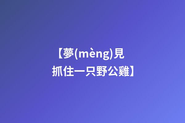 【夢(mèng)見抓住一只野公雞】