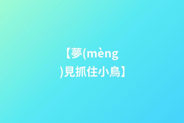 【夢(mèng)見抓住小鳥】